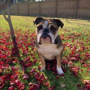 Meet your Posher, Kait